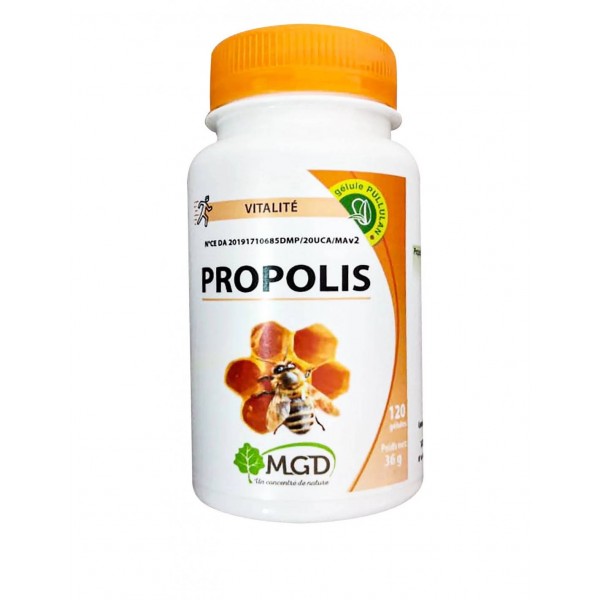 Mgd PROPOLIS -120 GELULES