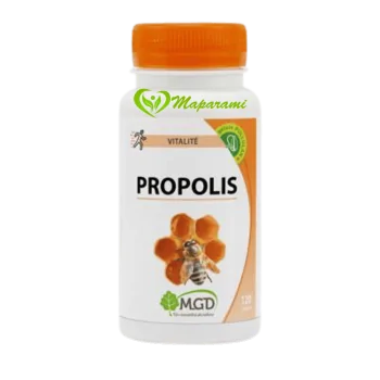 Mgd PROPOLIS -120 GELULES