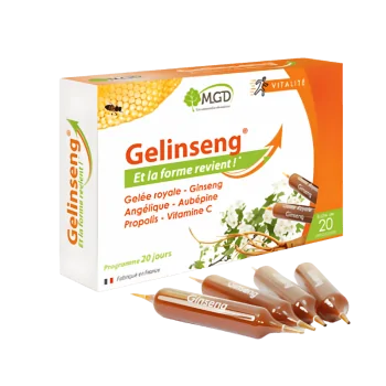 MGD GELINSENG 20 AMPOULES 10ml