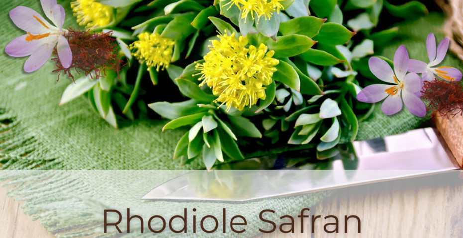 Stress émotionnel : 5 Raisons d’adopter la Rhodiole et le Safran